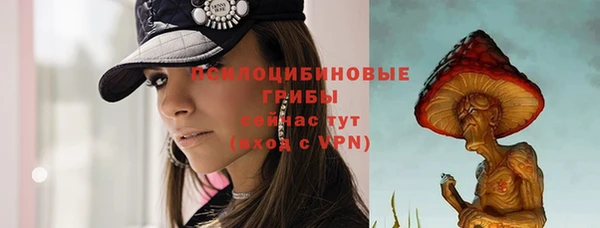 гашик Богородицк