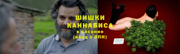гашик Богородицк