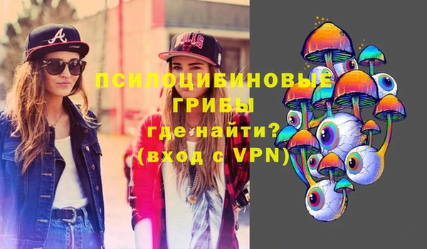 дурь Богородск