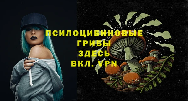 кокаин премиум Богданович