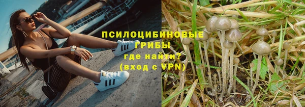 дурь Богородск
