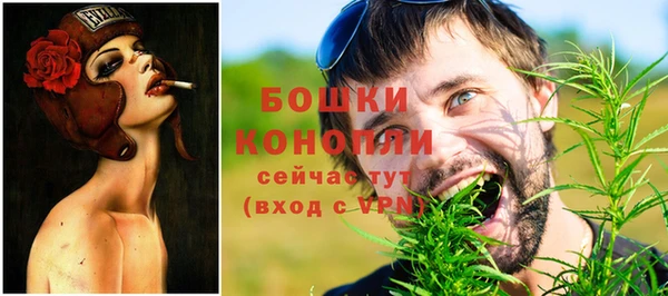 гашик Богородицк