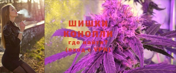 гашик Богородицк