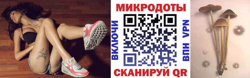 Псилоцибиновые грибы мухоморы  Купить закладки  Вичуга 